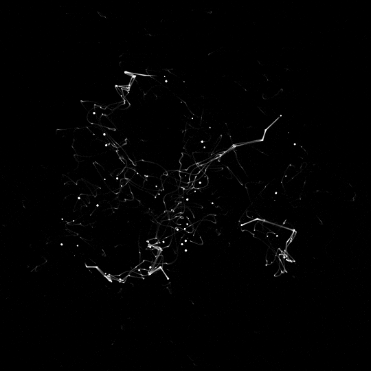 Background Animation